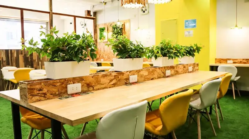 first-view-image06